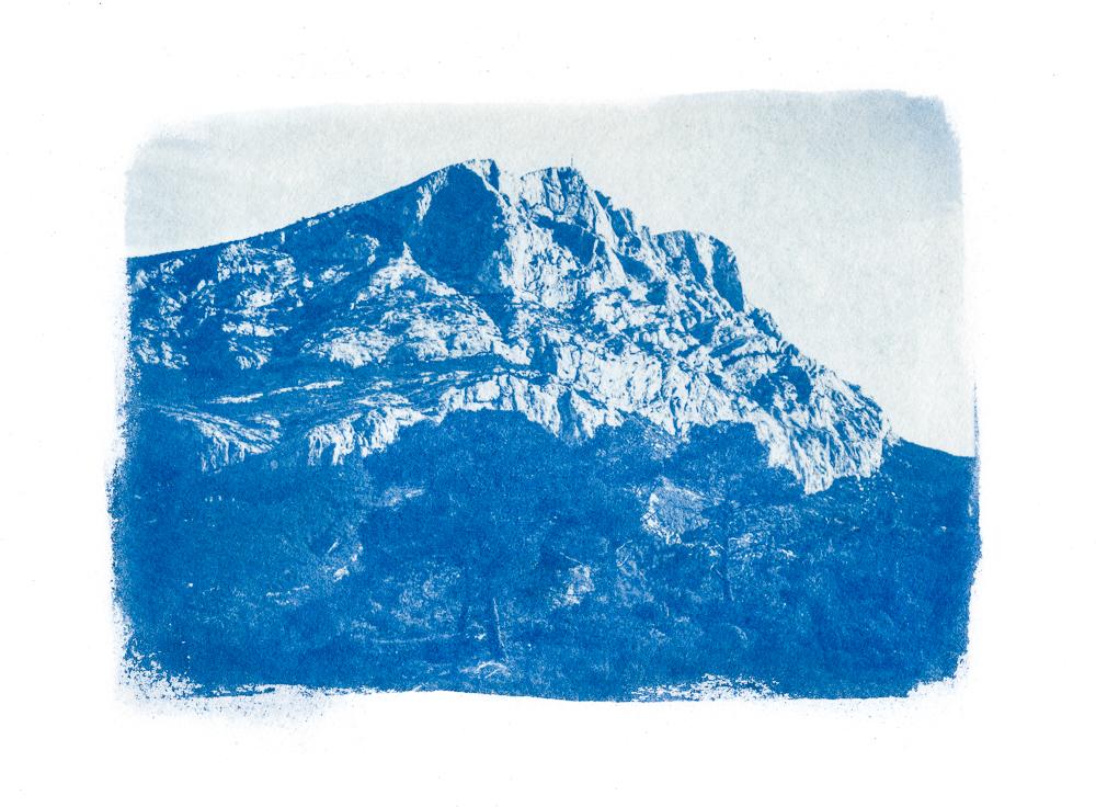 Amitiés sauvages - Tirage de tête cyanotype